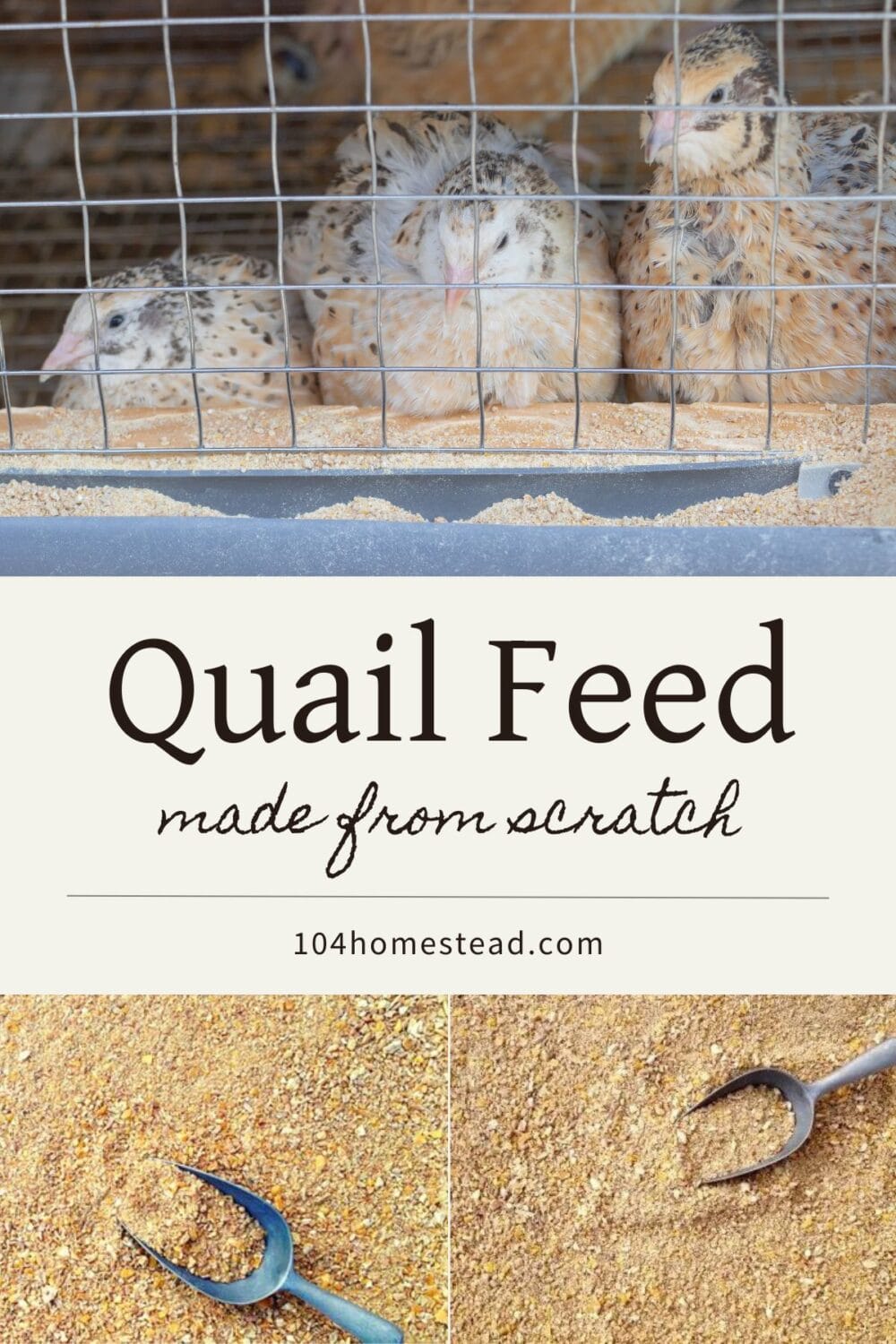 A Pinterest-friendly graphic for my post on homemade quail feed and two recipes.