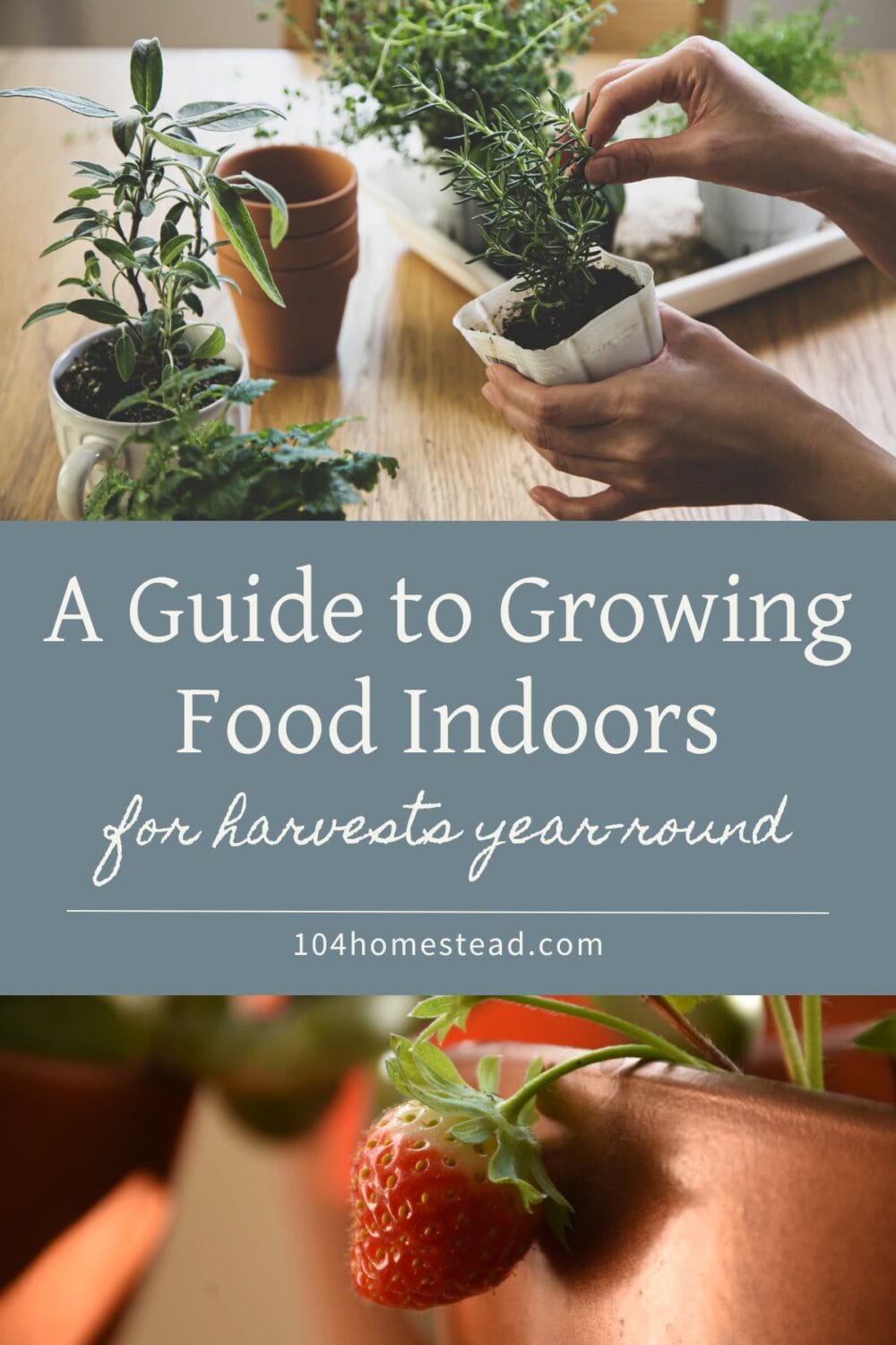 A Pinterest-friendly graphic for my post on how to grow food indoors.