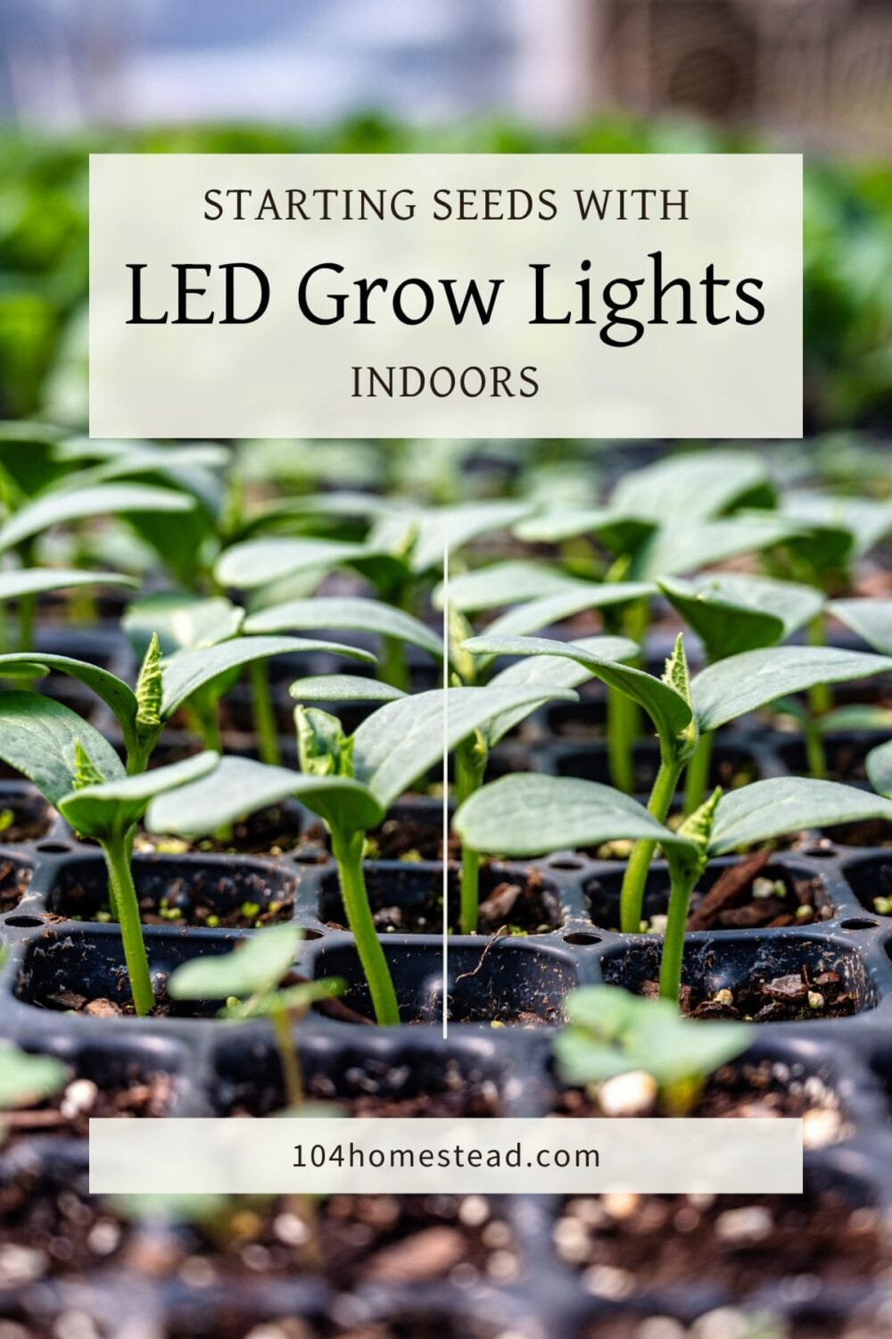 A Pinterest-friendly graphic for my post on starting seeds using LED lights.