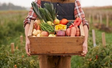 A man standing in his garden holding a wooden crate of produce.