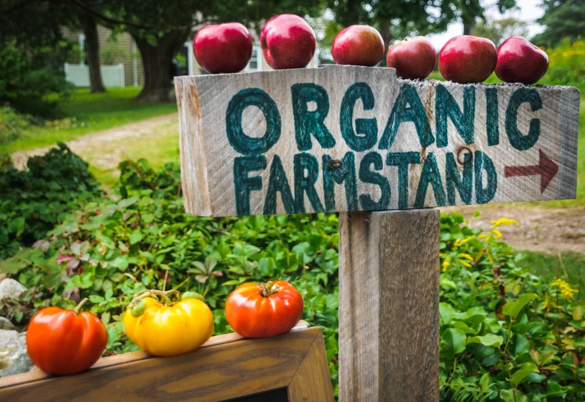 A rustic wooden sign with "organic farmstand" written on it and apples perched on top.