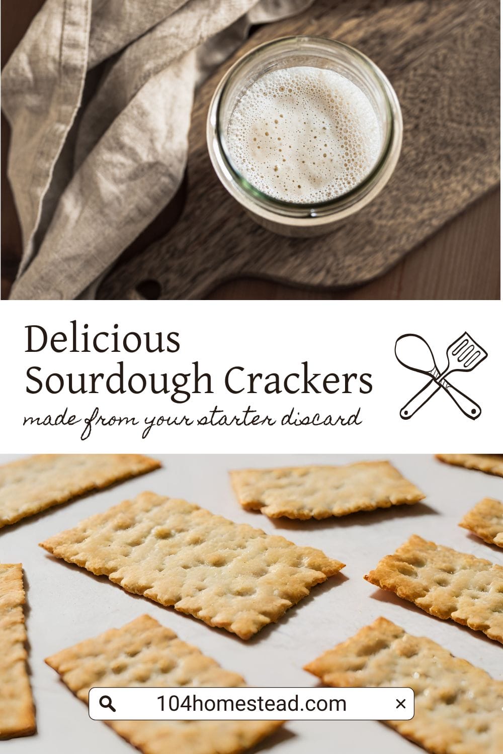 A Pinterest-friendly graphic for my homemade sourdough cracker recipe that uses sourdough discard.