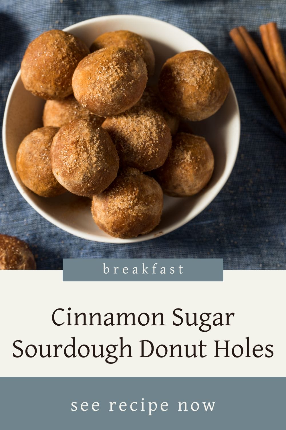 A Pinterest-friendly graphic for my homemade sourdough cinnamon sugar donut hole recipe.
