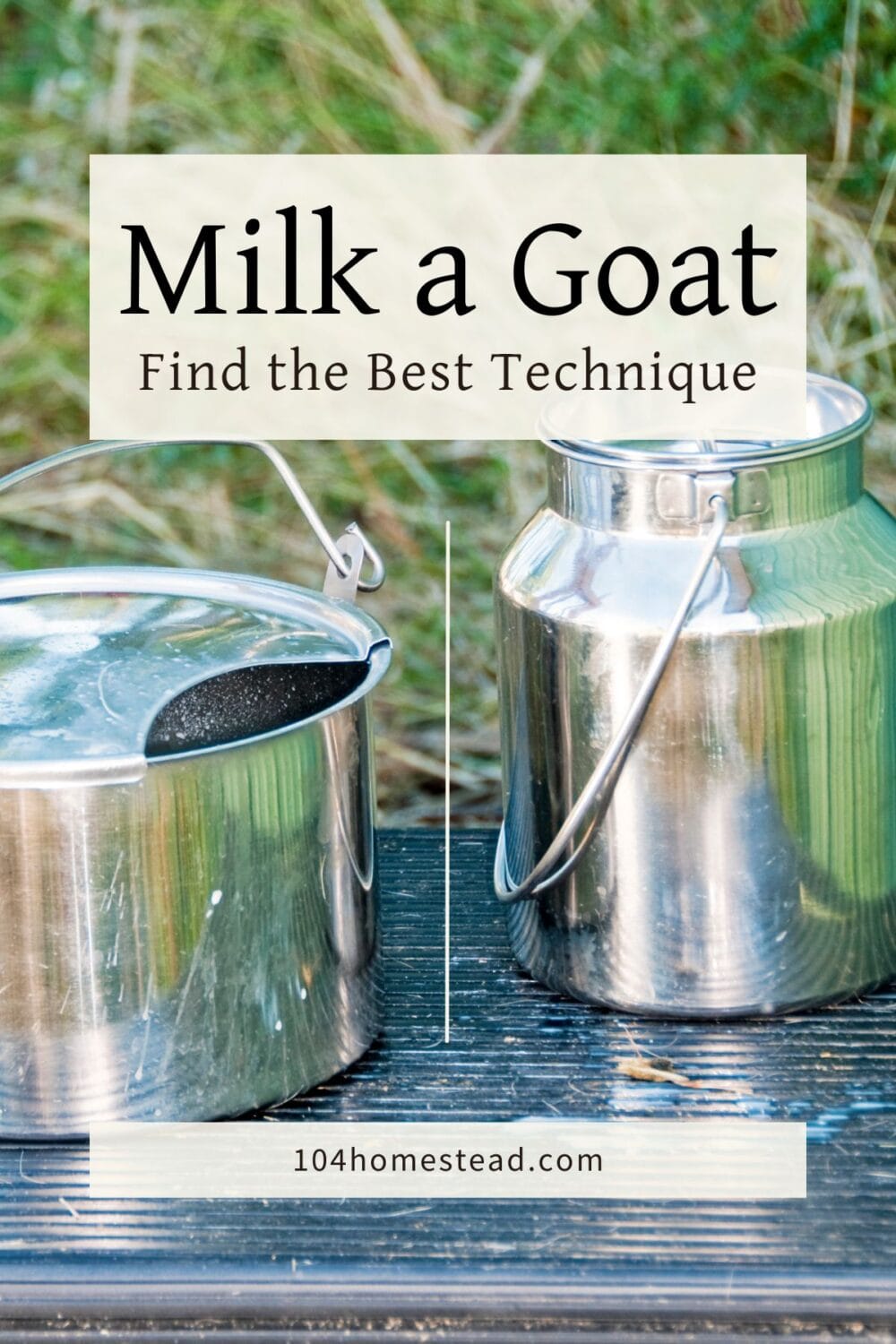 A Pinterest-friendly graphic for my post that will talk you through milking a goat for the first time.