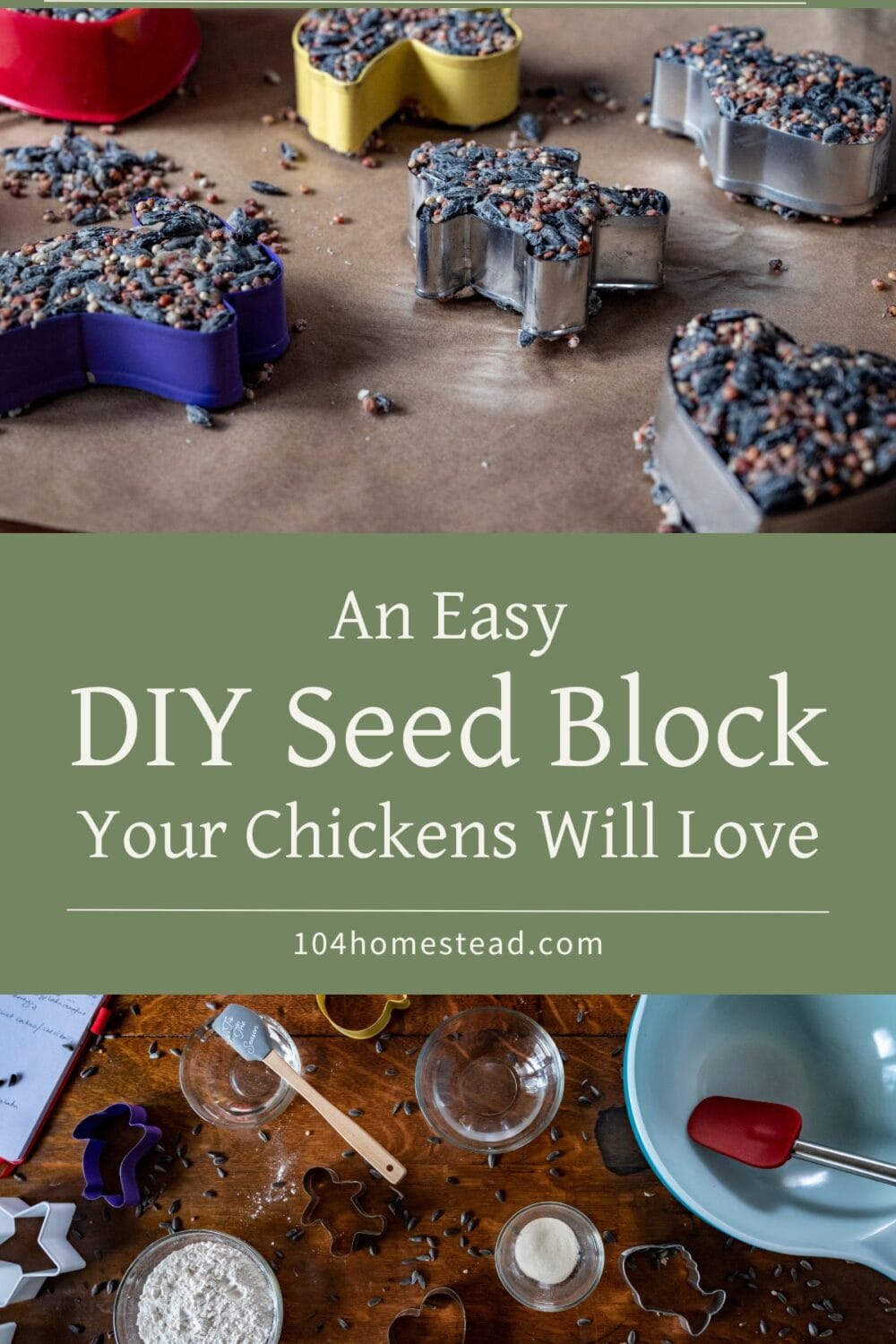 A Pinterest-friendly graphic for my post on how to make seed block treats for your chickens.