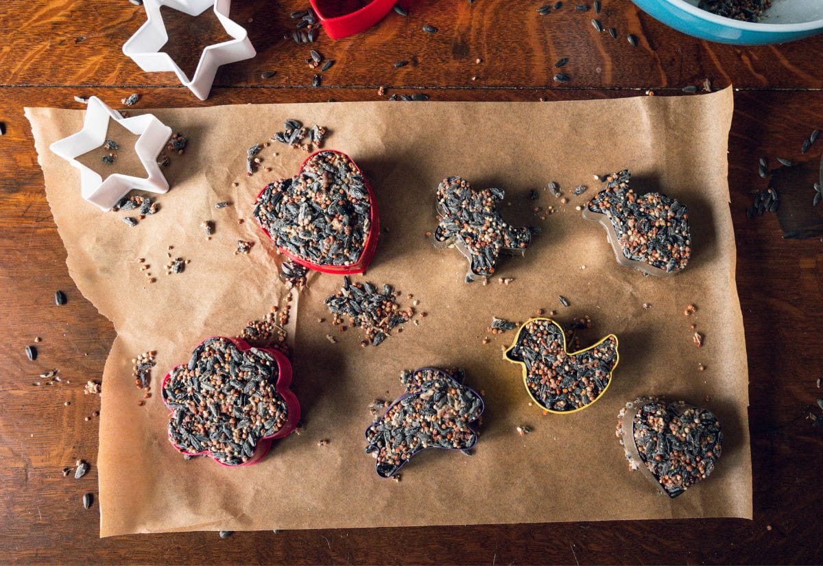 Bird seed pressed into the cookie cutters.