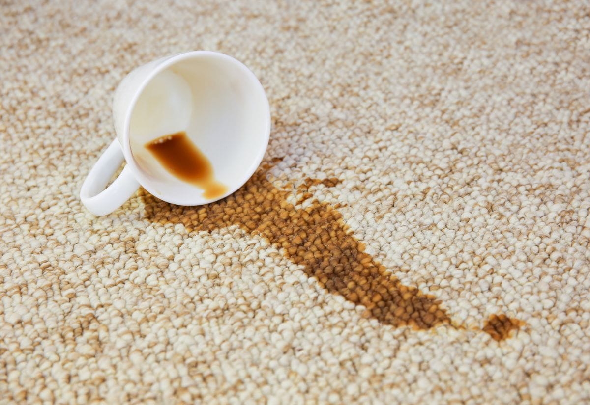 Tea spilled from a white mug on a cream colored carpet.