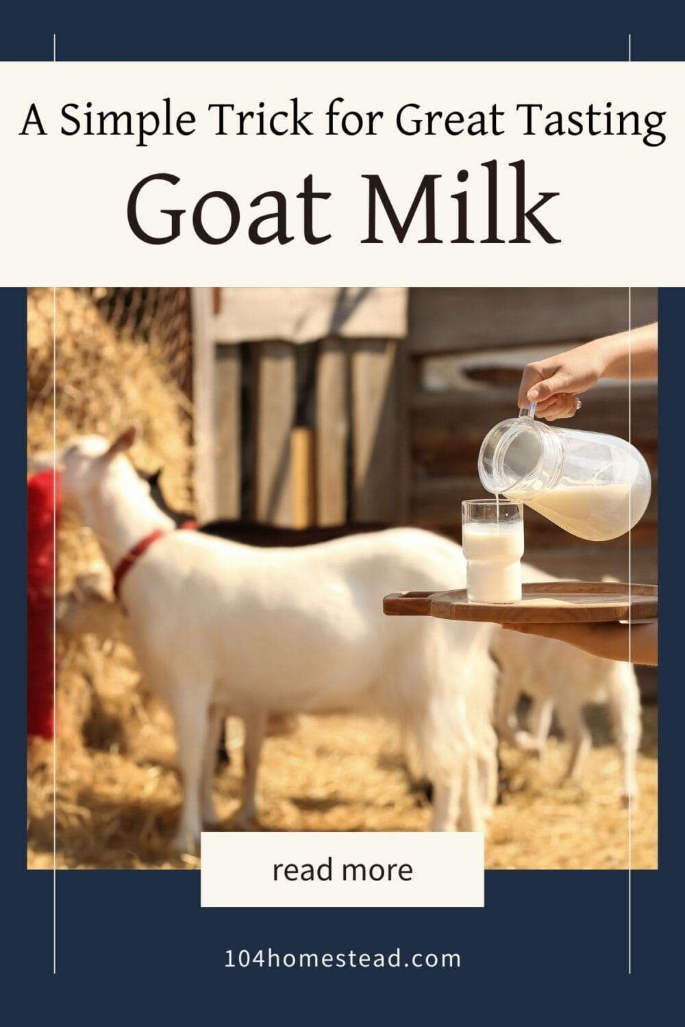A Pinterest-friendly graphic for my post on the secret to delicious goat milk.