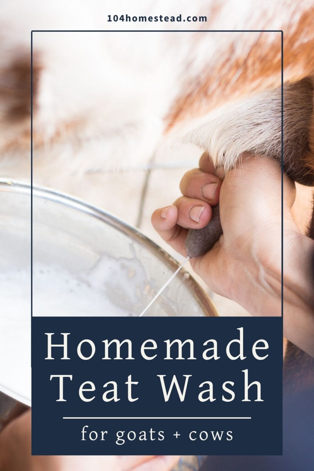 A Pinterest-friendly graphic for my homemade natural teat wash recipe.