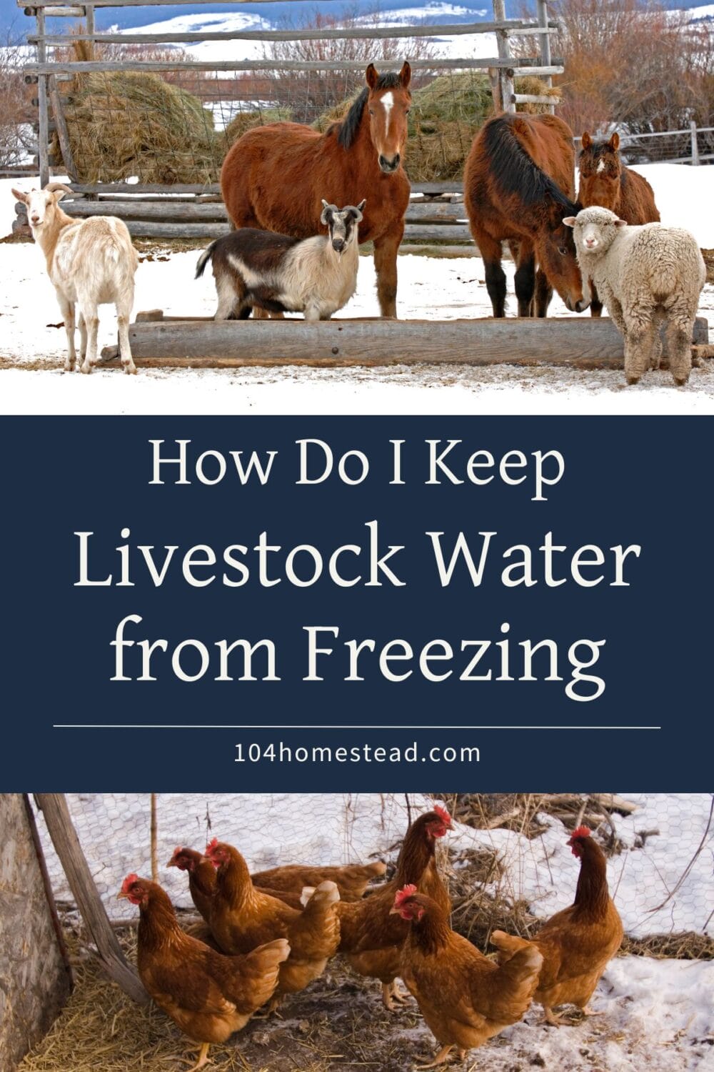 A Pinterest-friendly graphic for my post 'How Do I Keep My Livestock's Water From Freezing?'