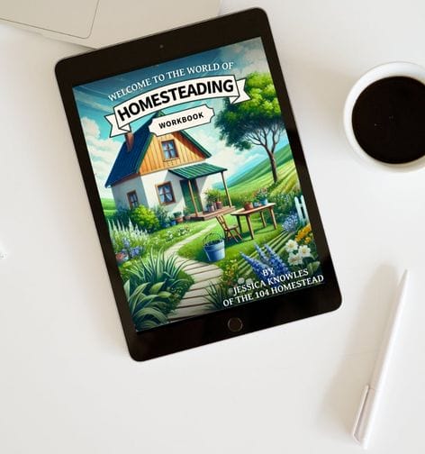 My workbook, Welcome to the World of Homesteading, displayed on a black tablet.