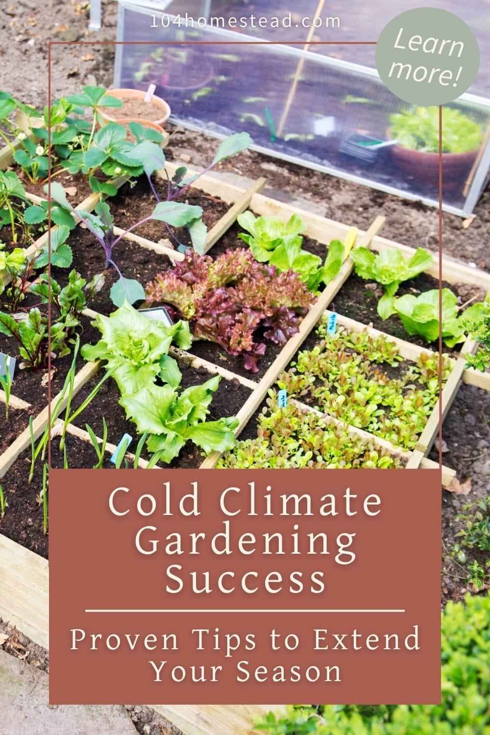 A colorful square-foot garden setup in a cold frame, highlighting methods for extending the growing season.