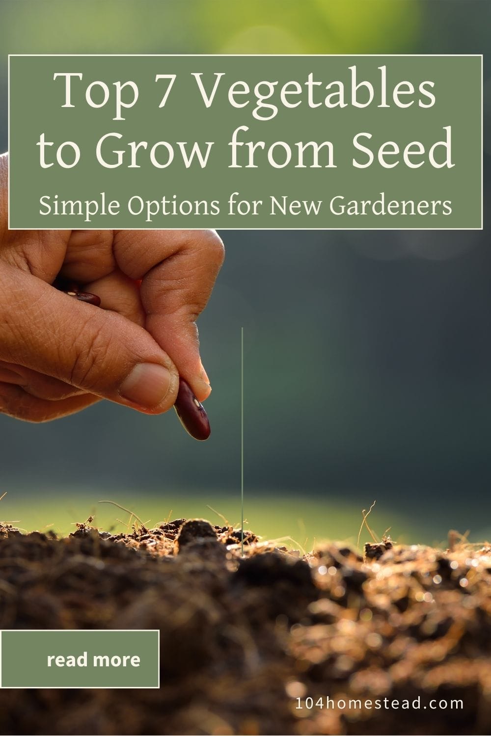 A close-up of a hand planting a bean seed in the soil, perfect for illustrating easy vegetables to grow from seed for beginners.