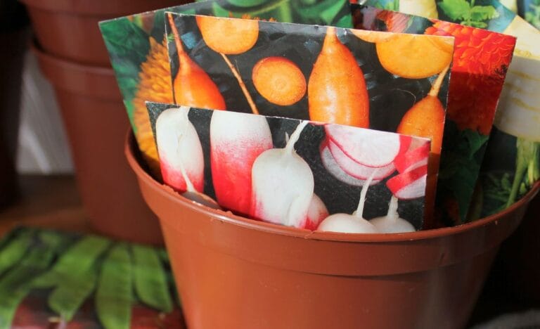 A small pot filled with seed packets featuring colorful vegetables like radishes and carrots.