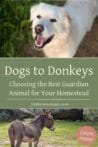 A livestock guardian dog and a donkey in a pasture, showcasing two effective options for protecting farm animals.