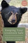 A close-up of a bear looking toward the camera, emphasizing the need for predator deterrents to keep livestock safe.