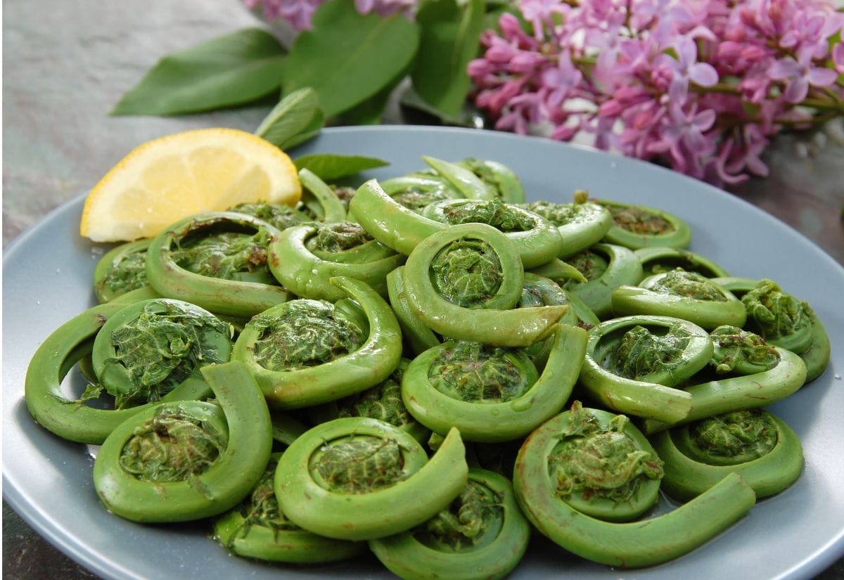 A plate of cooked green fiddlehead ferns garnished with lemon slices.