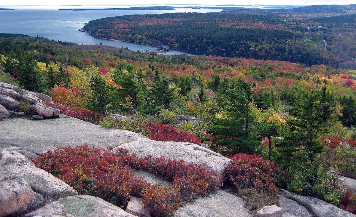 A scenic view of Maine’s rocky coastline surrounded by vibrant fall foliage.