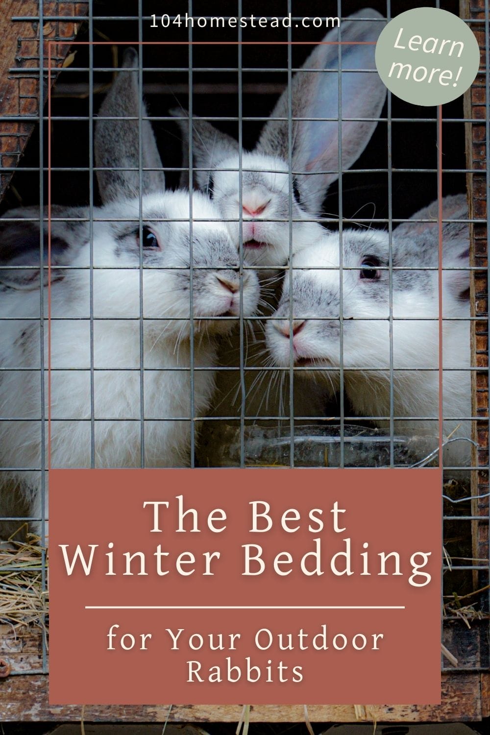 Pinterest graphic featuring rabbits in a hutch with the text "The Best Winter Bedding for Your Outdoor Rabbits."