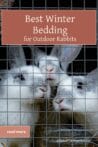 Three white rabbits peering out from a wire hutch with a water dish. Text overlay reads: Best Winter Bedding for Outdoor Rabbits.