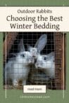 Three rabbits inside a wooden and wire hutch. Text overlay says: Outdoor Rabbits - Choosing the Best Winter Bedding.