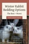 Close-up of rabbits huddled inside a wooden hutch with a wire front. Text overlay reads: Winter Rabbit Bedding Options - The Best + Worst.