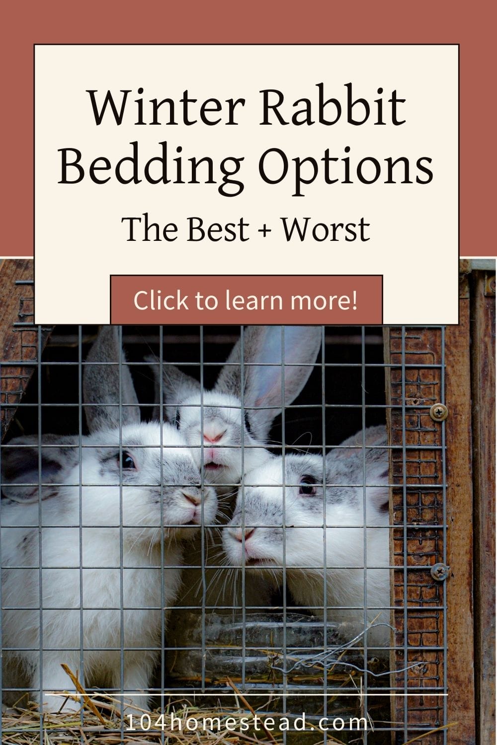 Choosing the Right Winter Bedding for Outdoor Rabbits