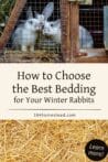 Three rabbits in a wire and wooden outdoor hutch with straw bedding at the base. Text overlay says: How to Choose the Best Bedding for Your Winter Rabbits.