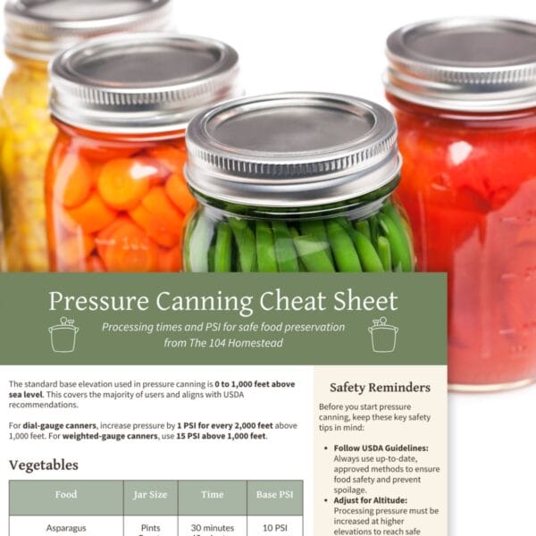 Pressure Canning Guide printable with colorful home-canned vegetables in the background, emphasizing food preservation.