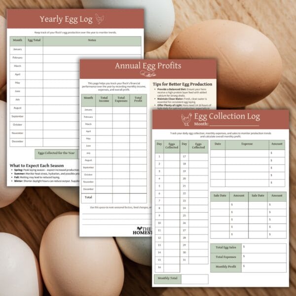 A set of three printable egg tracking sheets, including the Egg Collection Log, Yearly Egg Log, and Annual Egg Profits, laid out on a rustic wooden background with fresh eggs.