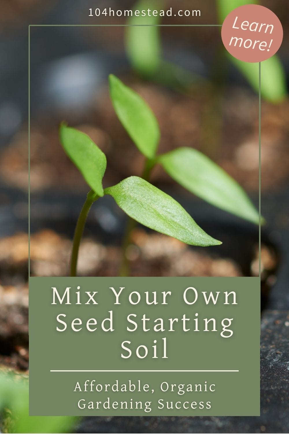 BEST SOIL MIX FOR VEGETABLES IN CONTAINERS visual data 8