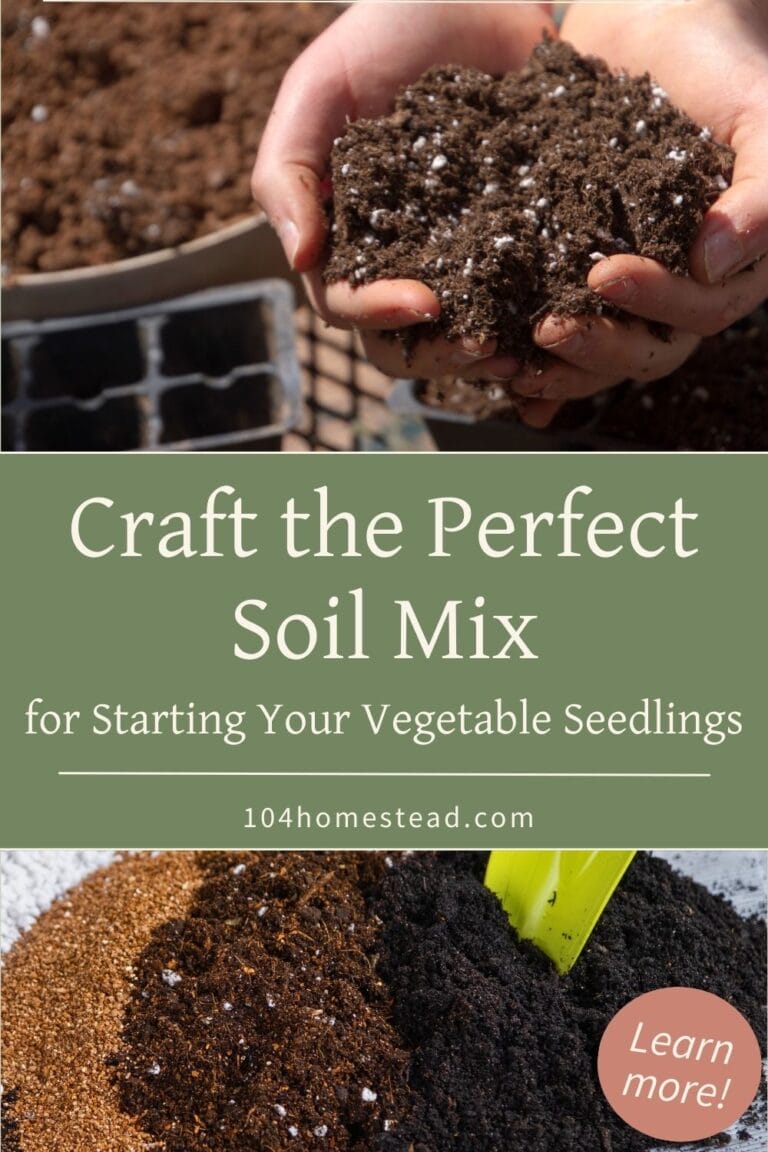How to Create the Perfect Soil for Vegetable Seedlings