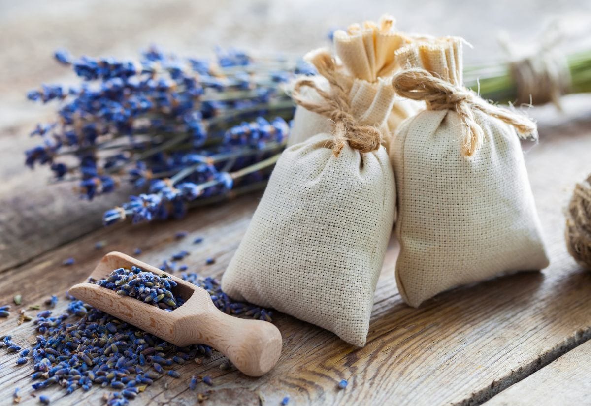 Small burlap sachets filled with lavender, tied with twine, placed on a rustic wooden table alongside dried lavender buds.