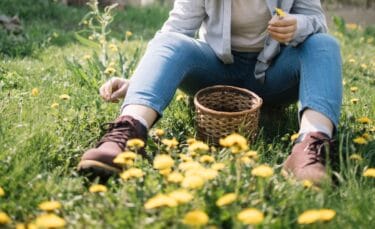 A person sitting in a field of dandelions, holding one in hand with a small woven basket on the ground.