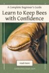 A honeybee perched on a leather glove, illustrating a hands-on approach to beekeeping.