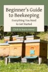 A row of wooden beehives in a sunny backyard, perfect for beginner beekeepers.