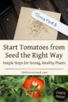 A close-up of tomato seeds on a wooden table with a labeled plant marker, ready for planting.