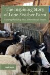 A group of goats eating hay inside a cozy wooden barn at Lone Feather Farm.