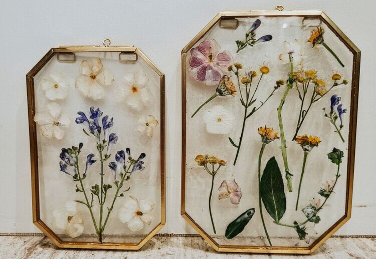 Two framed pressed flower artworks featuring delicate white, purple, and yellow blooms.