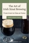 A freshly poured glass of homemade Irish stout with a smooth, frothy head, sitting beside a dark glass bottle.