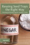 A bottle of vinegar and a bowl of baking soda on a wooden surface, showcasing natural ways to disinfect seed trays.