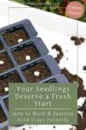 A freshly cleaned seed tray with newly planted seeds, ready for healthy growth.