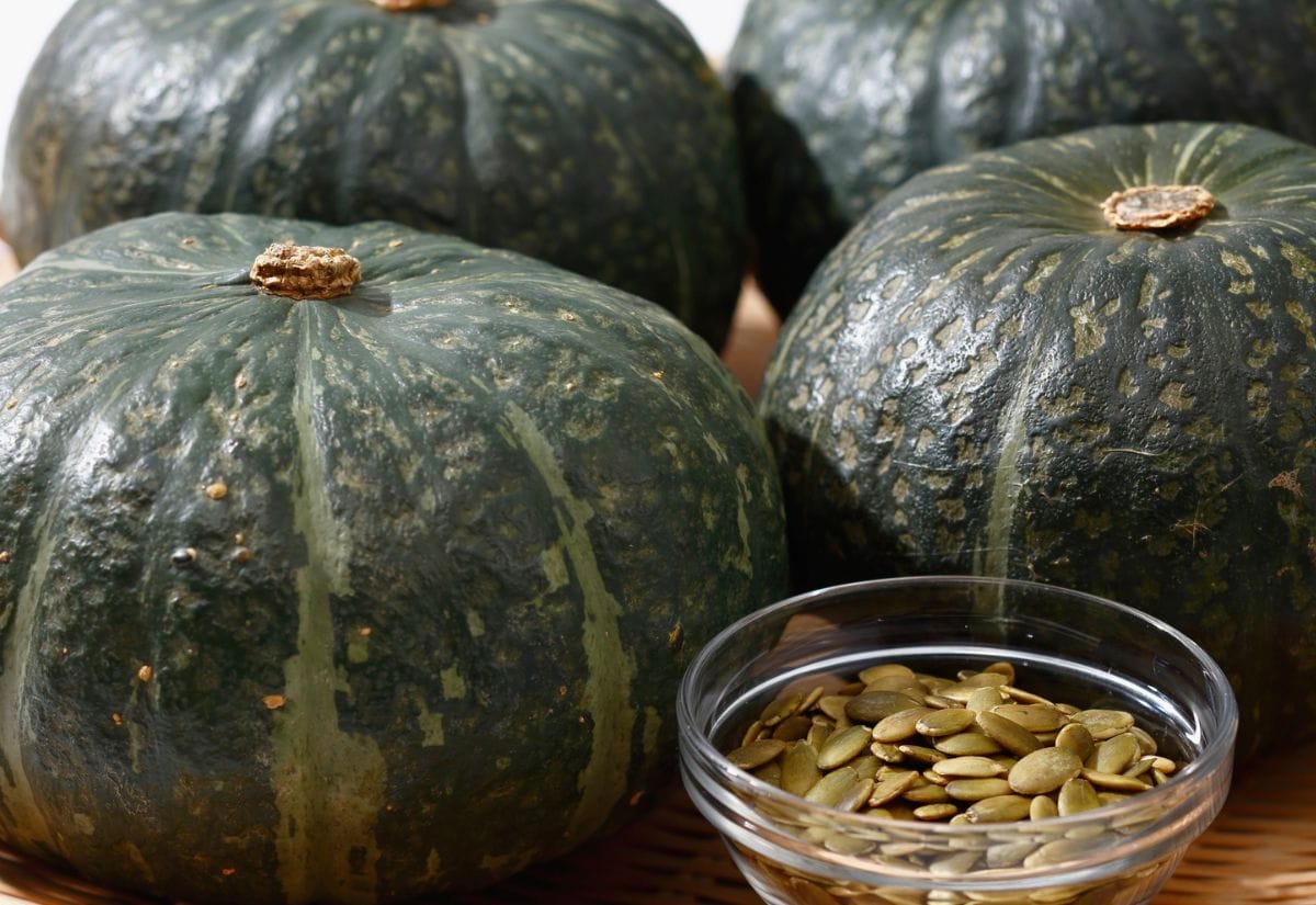 A group of dark green hybrid squashes with a glass bowl filled with saved seeds in the foreground.