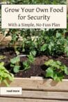 A raised garden bed filled with leafy greens and vegetable plants, perfect for a simple survival homestead.