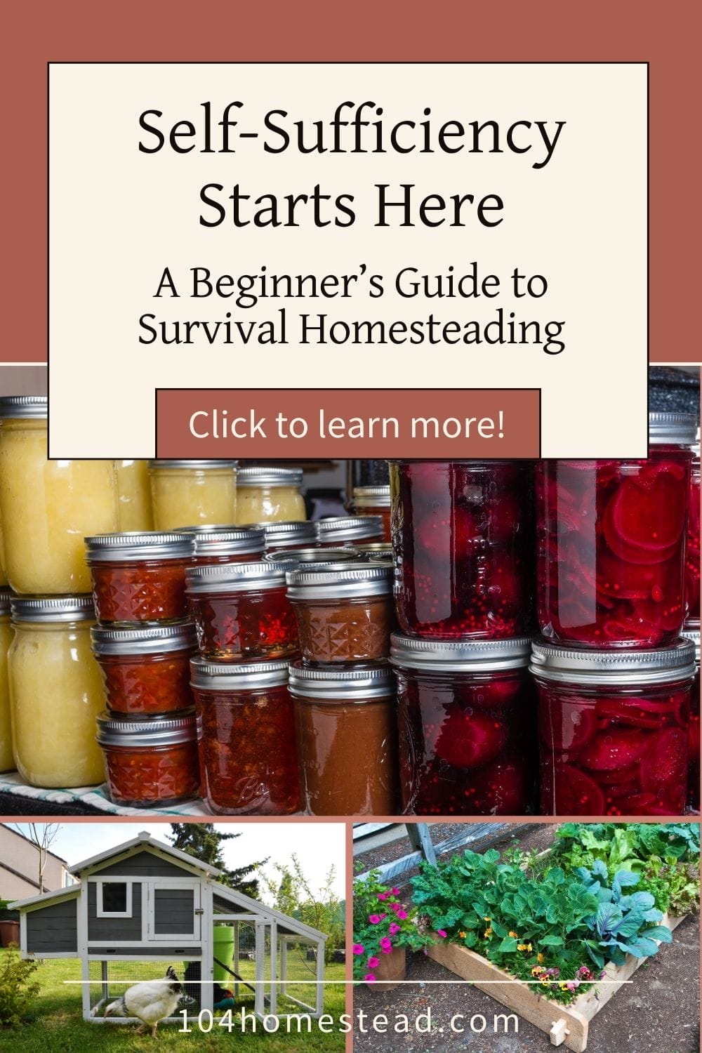 A collage featuring home-canned goods, a small chicken coop, and a thriving raised bed garden, showcasing a basic survival homestead setup.