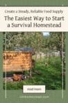 A small backyard chicken coop surrounded by trees, providing a sustainable food source for a homestead.