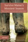 Close-up of muddy rubber boots standing in a deep puddle, capturing the challenges of Maine’s spring mud season.