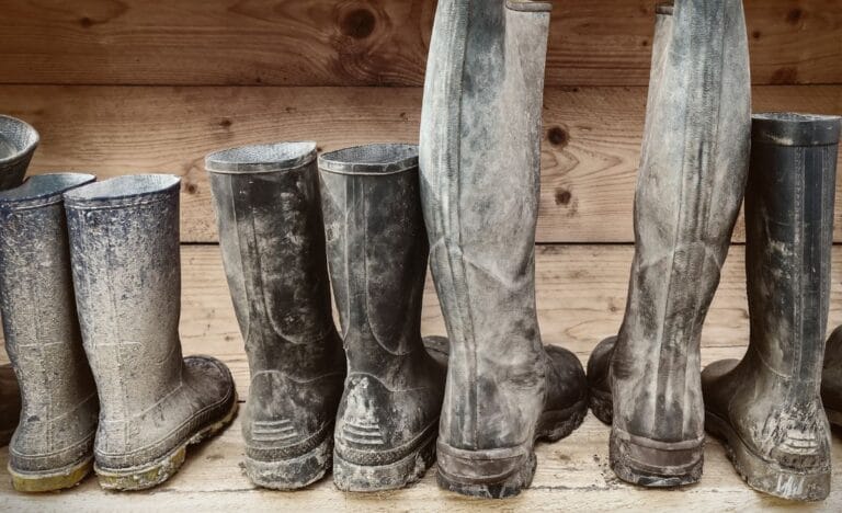 A row of heavily mud-caked boots standing against a wooden backdrop, a common sight during Maine's mud season.