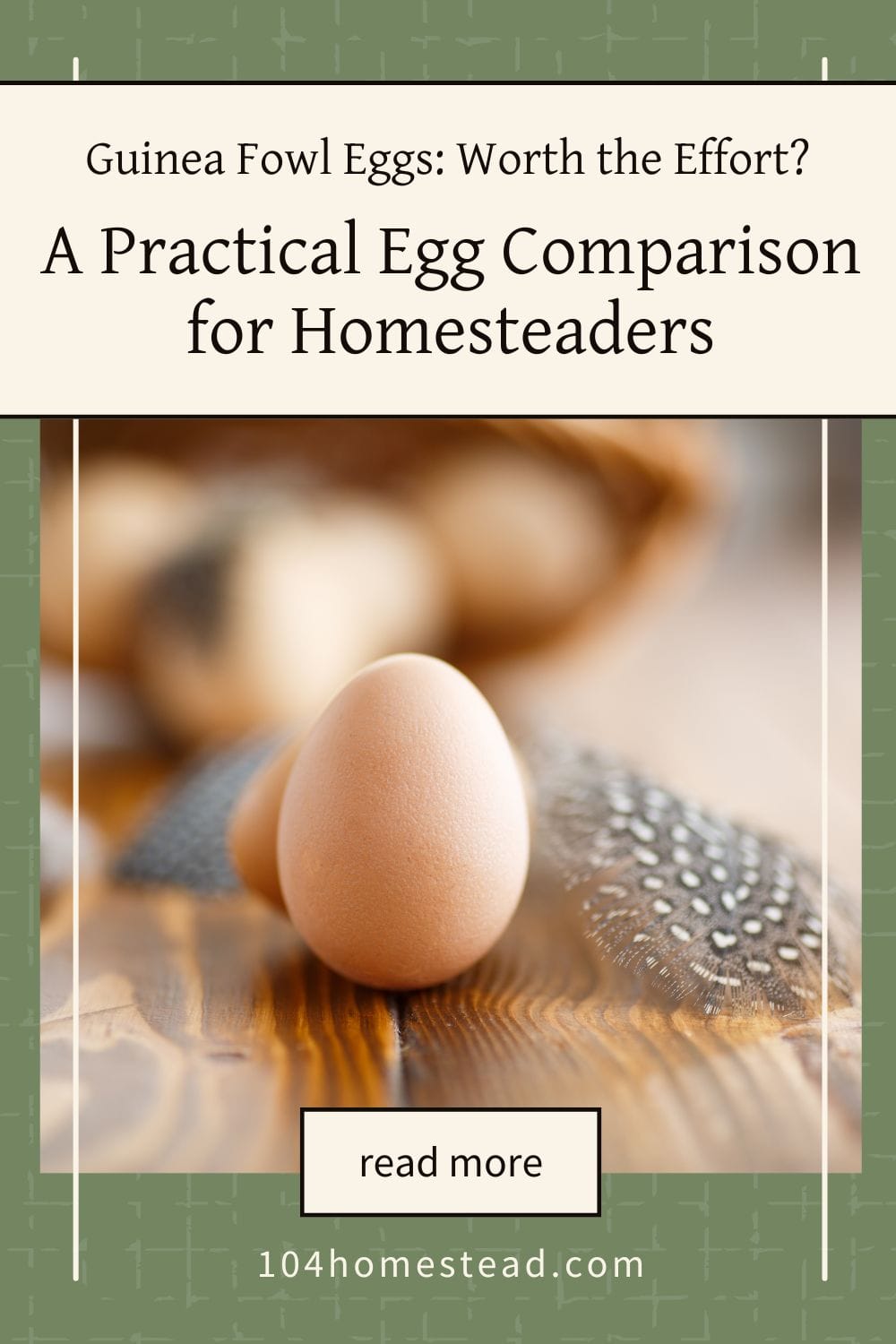 Guinea Eggs vs Chicken Eggs: Which Fits Your Homestead?