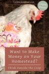 A white chicken wearing a colorful saddle, standing on dirt inside a coop—representing alternative homesteading strategies.